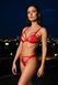 Комплект Passion ANUVERA SET fire brick L