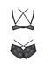 Комплект Passion DROSERA BIKINI black, XXL/XXXL, бюстгальтер и трусики-кюлоты